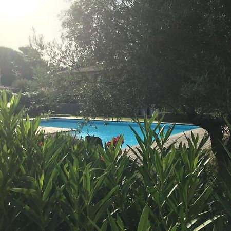 Appt T2 Standing Avec Piscine Et Terrasse Porto-Vecchio (Corsica) Exterior foto