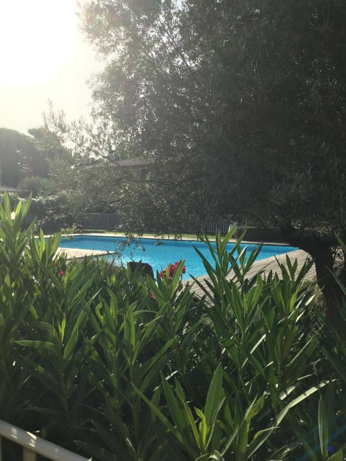 Appt T2 Standing Avec Piscine Et Terrasse Porto-Vecchio (Corsica) Exterior foto